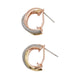 Aldo Haleteriel Women's Earrings - Metallic Multi