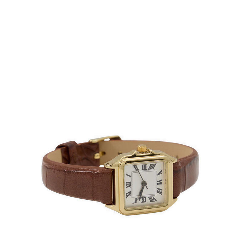 Aldo Berverly Women's Watches - Brown