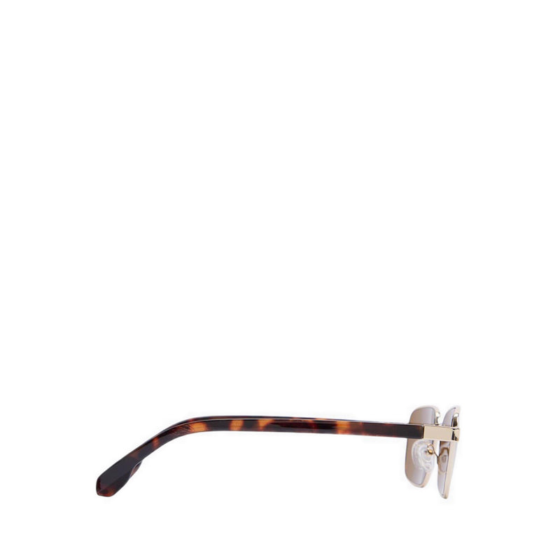 Aldo Jakyy Men's Sunglasses Brown