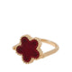 Aldo Vallora Women's Rings Brown